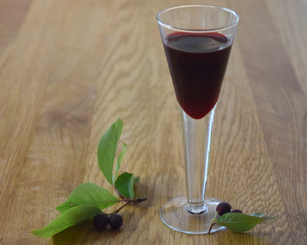 Aroniajuice i litet glas - aroniajuice är en överlägsen antioxidantkälla.