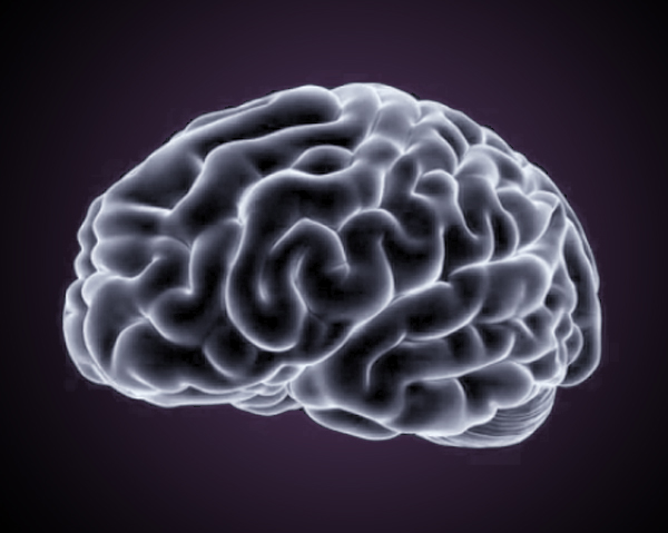Hjärna - aroniajuice är bra för minnet.